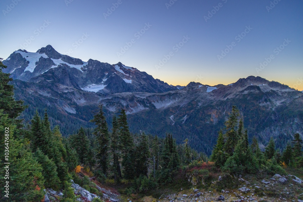 Obraz premium landscape with snow