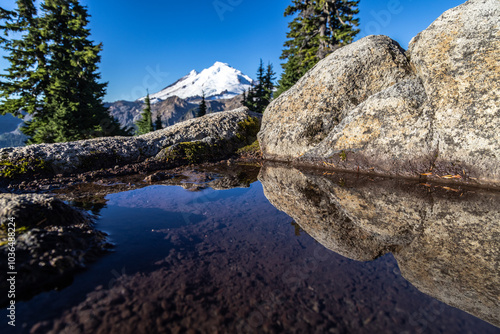 Mount Baker in front of a puddle photo