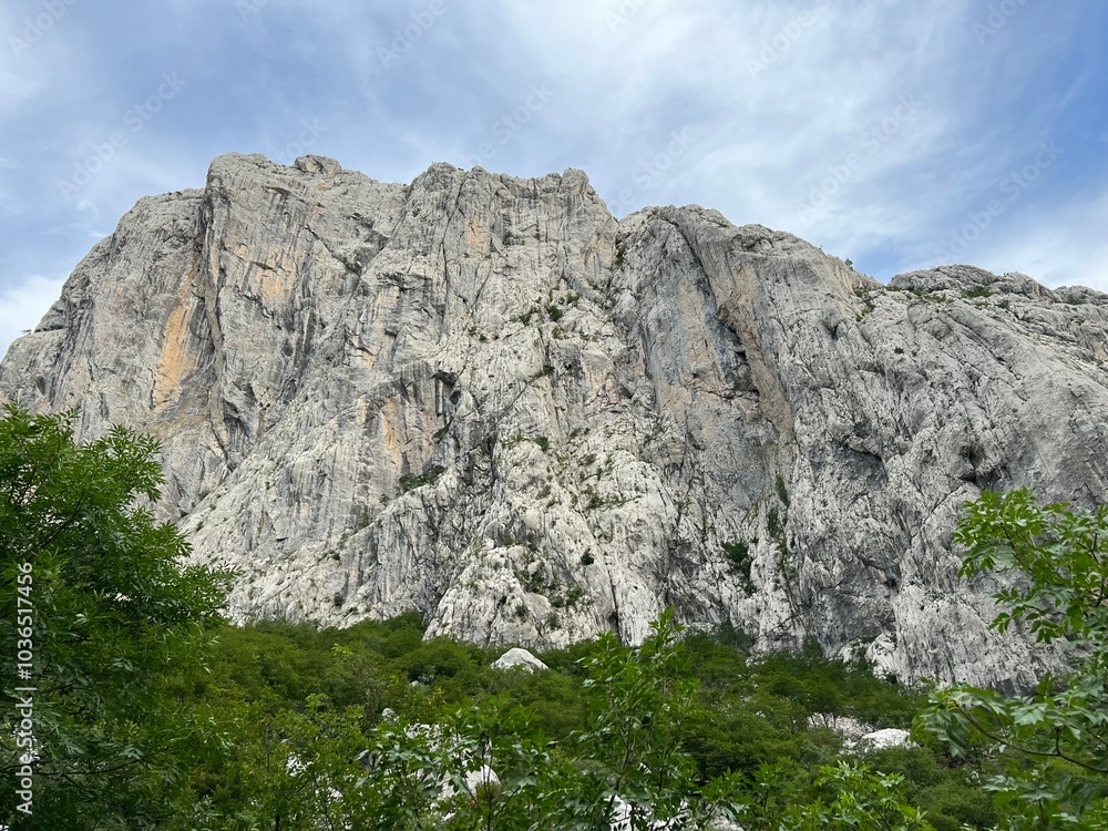 Limestone rocks in Velika Paklenica canyon,Starigrad (Paklenica National Park, Croatia) - Kalksteinfelsen in der Schlucht Velika Paklenica, Starigrad (Nationalpark Paklenica, Kroatien) Limestone rocks in Velika Paklenica canyon,Starigrad (Paklenica National Park, Croatia) - Kalksteinfelsen in der Schlucht Velika Paklenica, Starigrad (Nationalpark Paklenica, Kroatien)