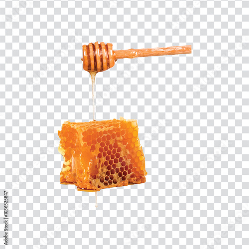 fresh honeycomb on a transparent background