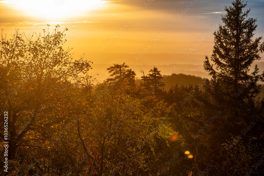 Bäume eines Mischwaldes im orangenem Gegenlicht der unter- oder aufgehenden Sonne Bäume eines Mischwaldes im orangenem Gegenlicht der unter- oder aufgehenden Sonne