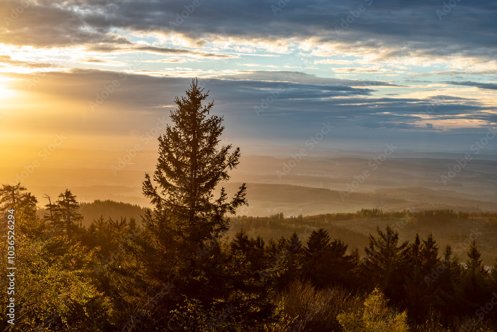 Bäume eines Mischwaldes im orangenem Gegenlicht der unter- oder aufgehenden Sonne Bäume eines Mischwaldes im orangenem Gegenlicht der unter- oder aufgehenden Sonne