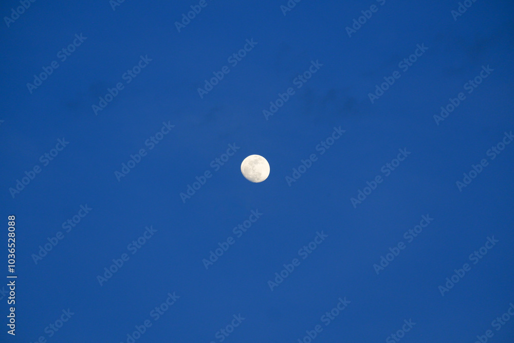 photography of the moon in the blue sky in the evening photography of the moon in the blue sky in the evening