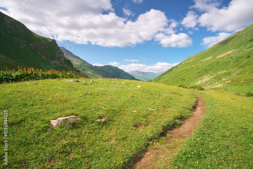 Road lane in mountain meadow