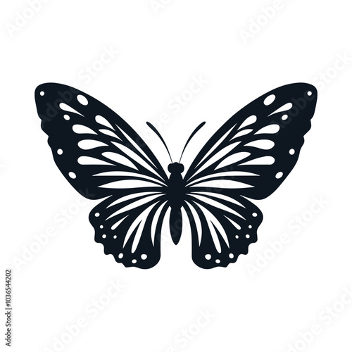 butterfly illustration