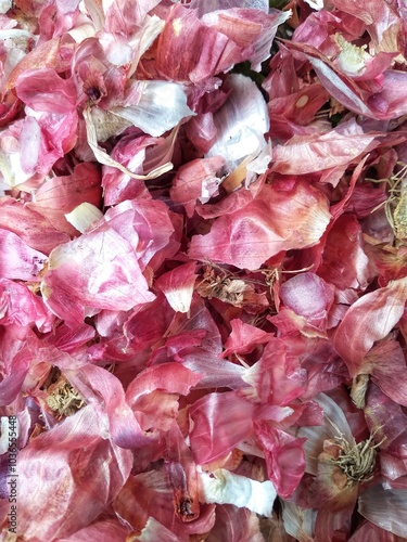 close up of red onion skin