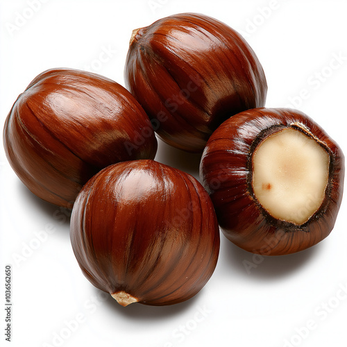 Conkers Isolated
