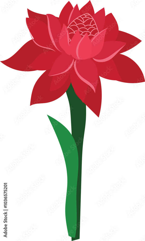 Obraz premium Flower on white background. Vector illustration.