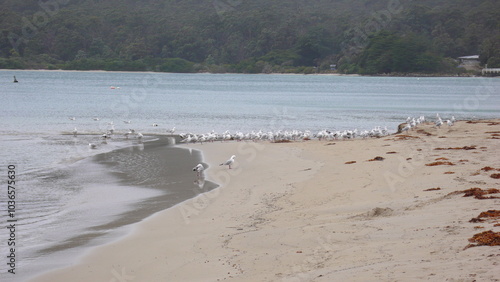 beach and sea