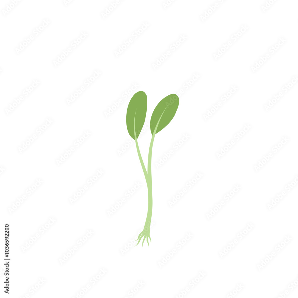 Microgreen Plants Illustration Microgreen Plants Illustration