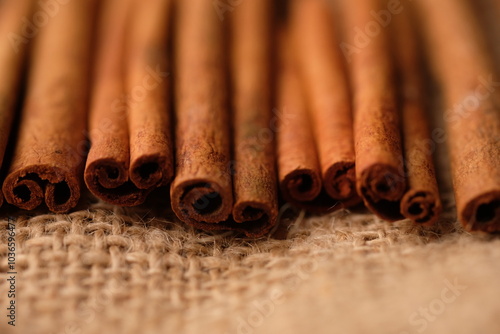 Cinnamon or with the scientific name Cinnamomum is a type of tree that produces spices. Cinnamomum verum. blurred image 