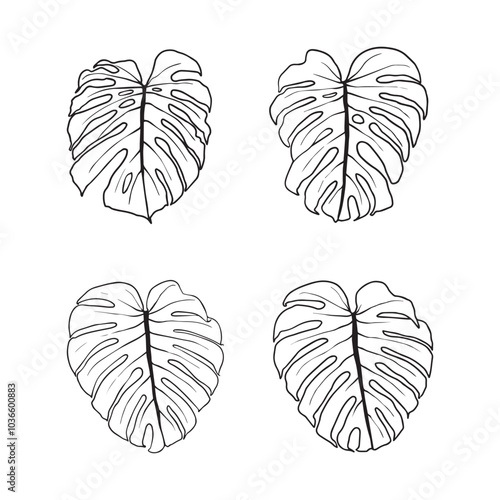 Set of monstera leaves. Black outline of monstera leaf vector illustration. Isolated on white background for graphic design.