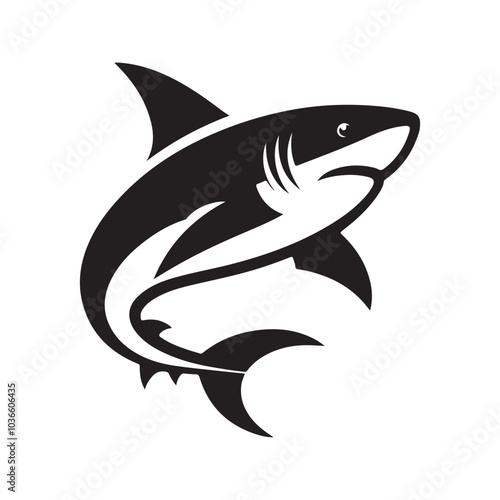 Shark vector illustration on a white background