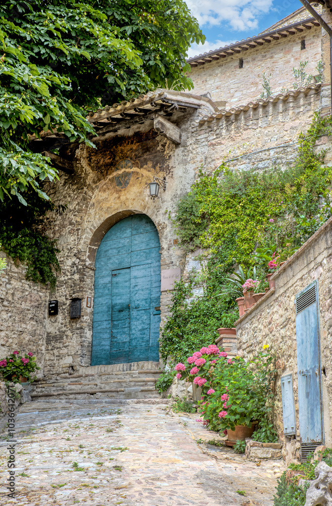 Charming cobblestone path leading to a rustic blue door in the medieval town of Assisi, Umbria, surrounded by lush greenery and vibrant flowers