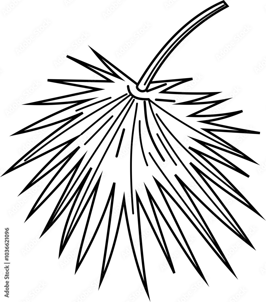 Leaf black and white. Vector illustration. Leaf black and white. Vector illustration.
