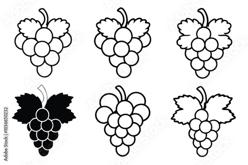 different type of grape