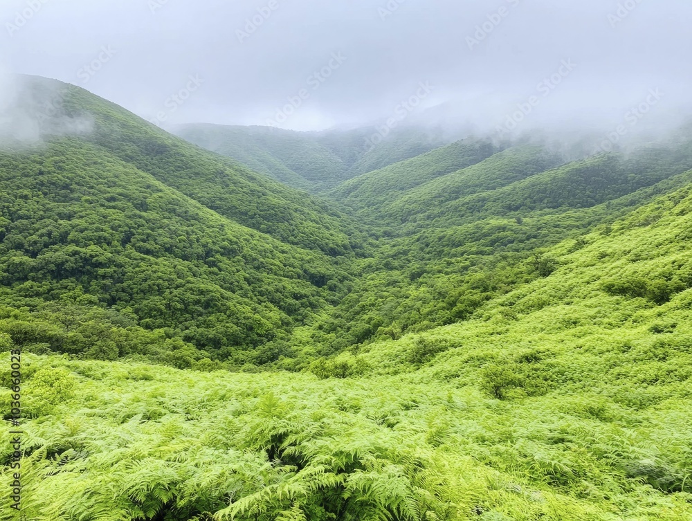 Traveling during the rainy season reveals vibrant green landscapes and breathtaking mountain views, all set against a backdrop of a beautifully overcast sky. Traveling during the rainy season reveals vibrant green landscapes and breathtaking mountain views, all set against a backdrop of a beautifully overcast sky.