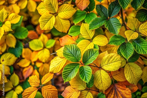 Wallpaper Mural A striking blend of yellow and green foliage represents the lushness of summer and the hues of autumn, celebrating nature's beauty in a graphic design. Torontodigital.ca