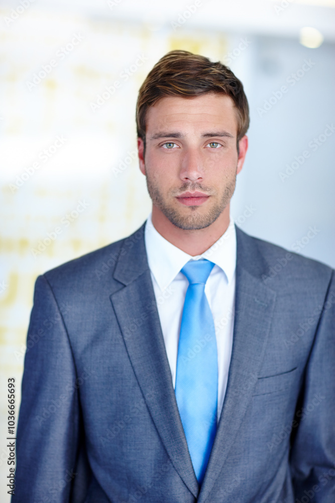 Portrait, businessman and office with confidence, suit and pride as accountant for financial agency. Male person, professional and serious for investment opportunity, portfolio and banking in company Portrait, businessman and office with confidence, suit and pride as accountant for financial agency. Male person, professional and serious for investment opportunity, portfolio and banking in company