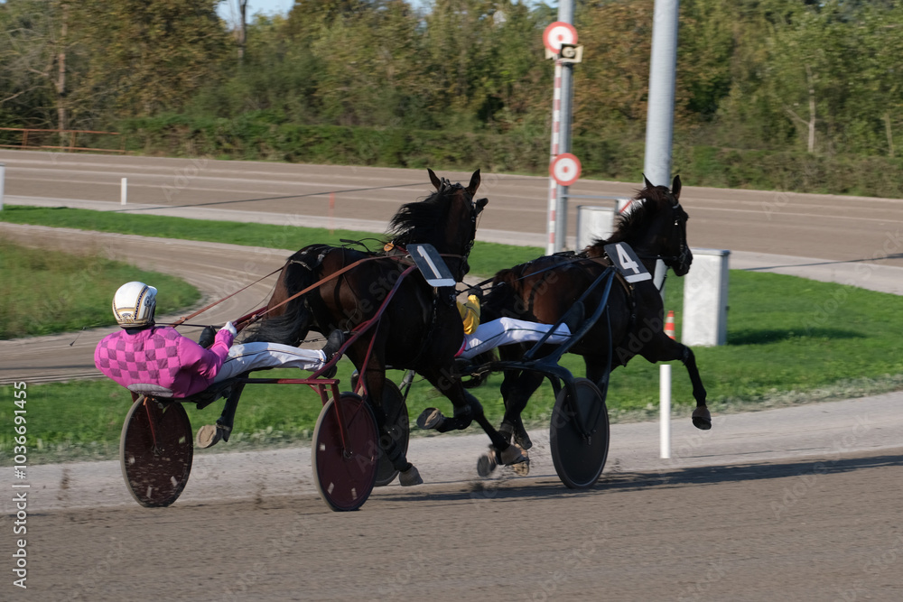 Racing horses trots and rider on a track of stadium. Competitions for trotting horse racing. Horses compete in harness racing. Horse runing at the track with rider.
Racing horses trots and rider on a track of stadium. Competitions for trotting horse racing. Horses compete in harness racing. Horse runing at the track with rider.