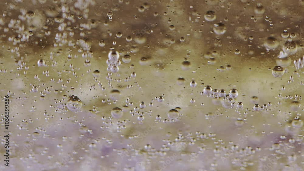 Abstract Mesmerizing Liquid Food Oil Bubbles Moves in Water Abstract Mesmerizing Liquid Food Oil Bubbles Moves in Water