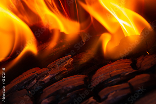 the flame rises above the burning coals photo