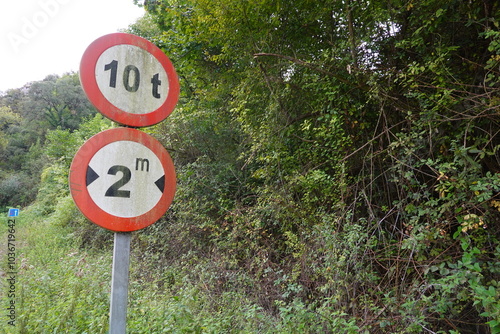 Two old road signs show a 10-ton weight limit and 2-meter width restriction, placed along a rural road, surrounded by dense vegetation.