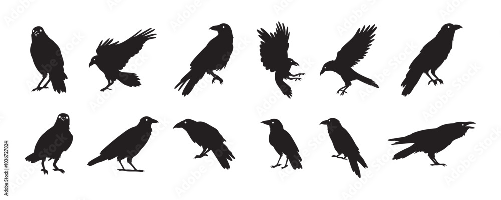 Fototapeta premium Crow isolated black silhouette set. Crows, raven halloween Dark birds icon clipart
