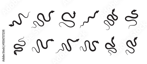 Black silhouette snake icon set. Isolated snake symbol on white background. Abstract snake sign