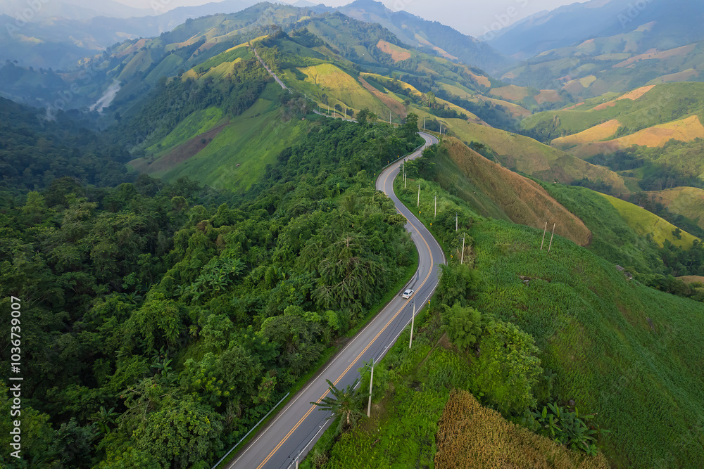 Aerial view in the morning of a road through a lush green forest leading to a rural village. Aerial view in the morning of a road through a lush green forest leading to a rural village.