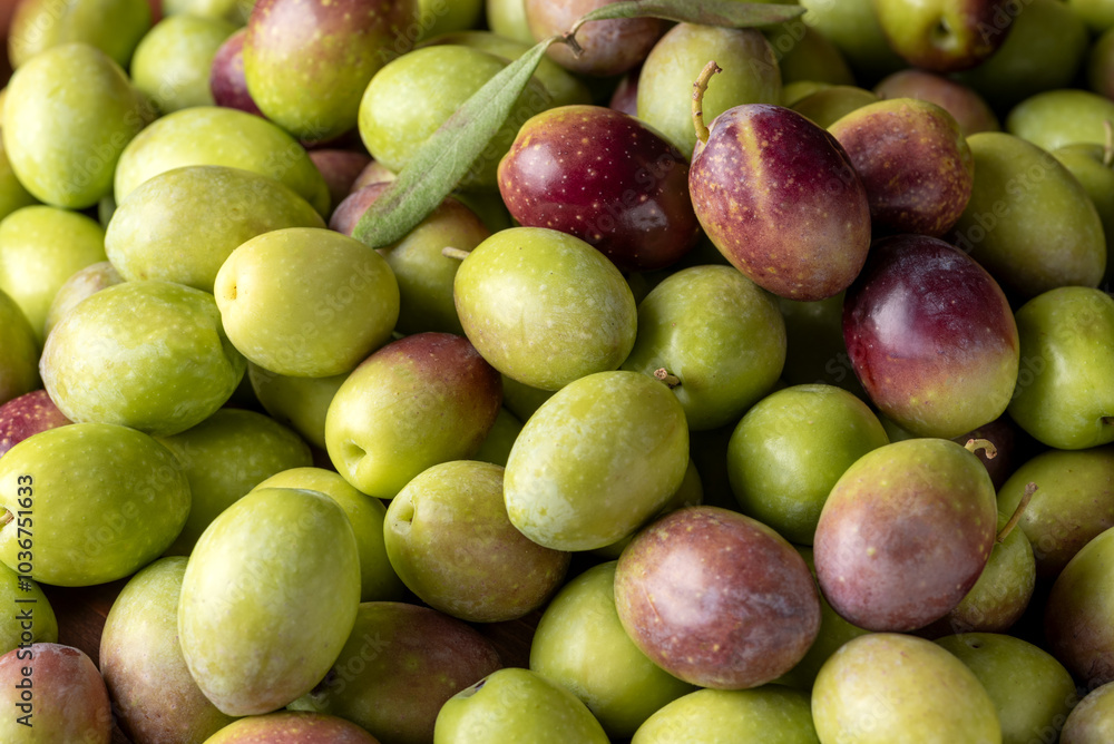Sfondo di olive fresche biologiche Sfondo di olive fresche biologiche