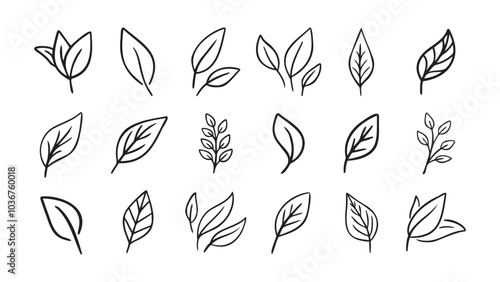 Hand drawn leaf eco set. Black line doodle leaf icons