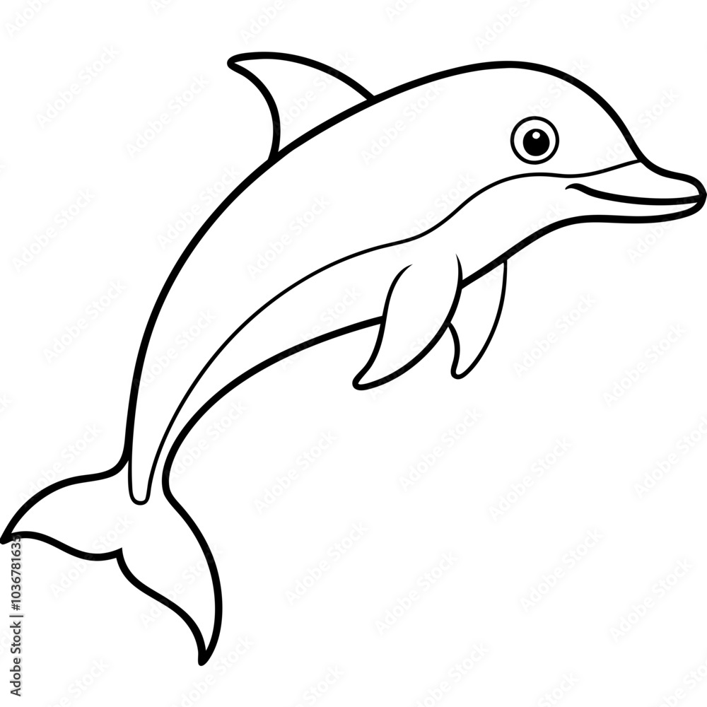 Fototapeta premium Dolphin