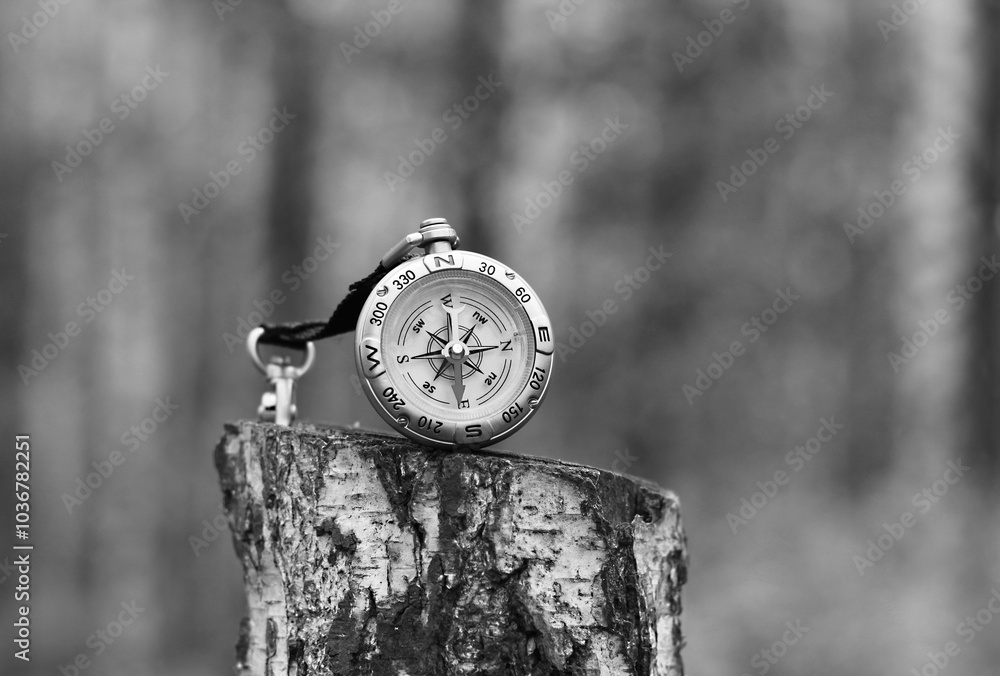 Naklejka premium Classic navigation compass on natural background