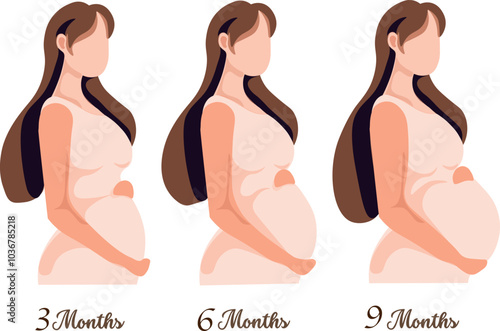 pregnant woman at 3 months, 6 months, and 9 months