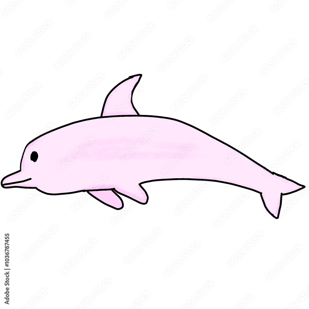 Obraz premium animals