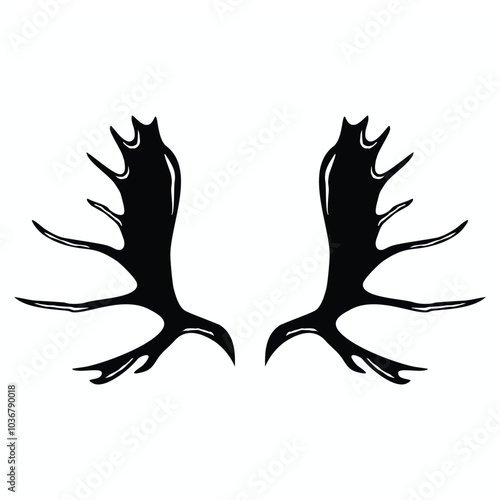 Taxidermy Illustration