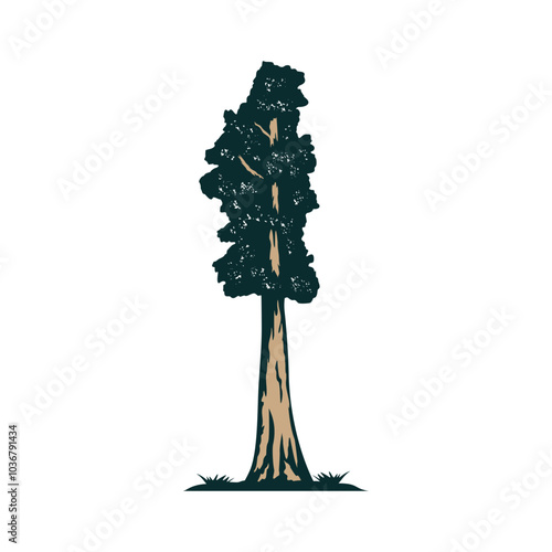 Tree Illustration