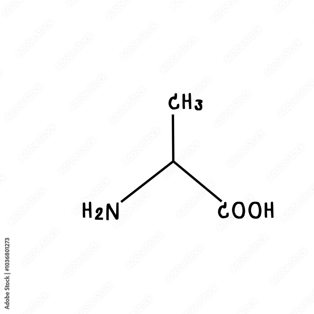 chemical structure of alanine illustration chemical structure of alanine illustration
