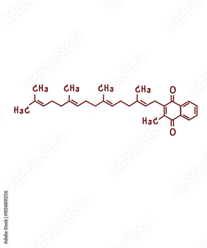 chemical structure of Vitamin K2 or Menaquinone illustration