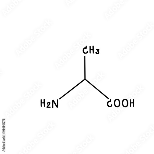 chemical structure of alanine illustration