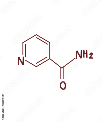 chemical structure of Niacinamide illustration