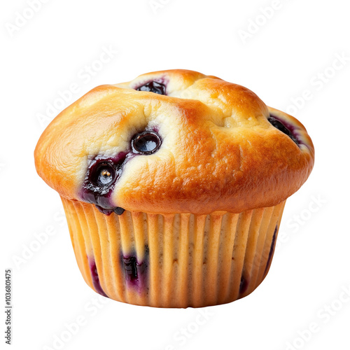 Freshly Baked Blueberry Muffin with Soft Texture and Tasty Flavor