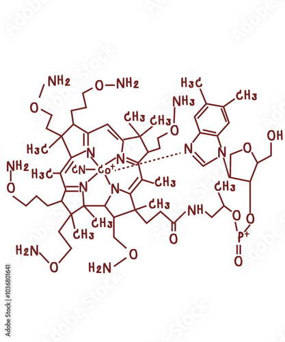chemical structure of Vitamin B12 or cobalamin illustration