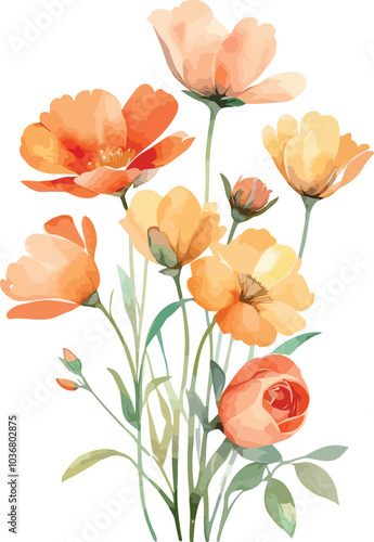 Orange and Yellow Poppy Bouquet – Watercolor Vector Illustration
