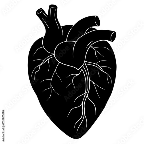 human heart vector artwork and illustration