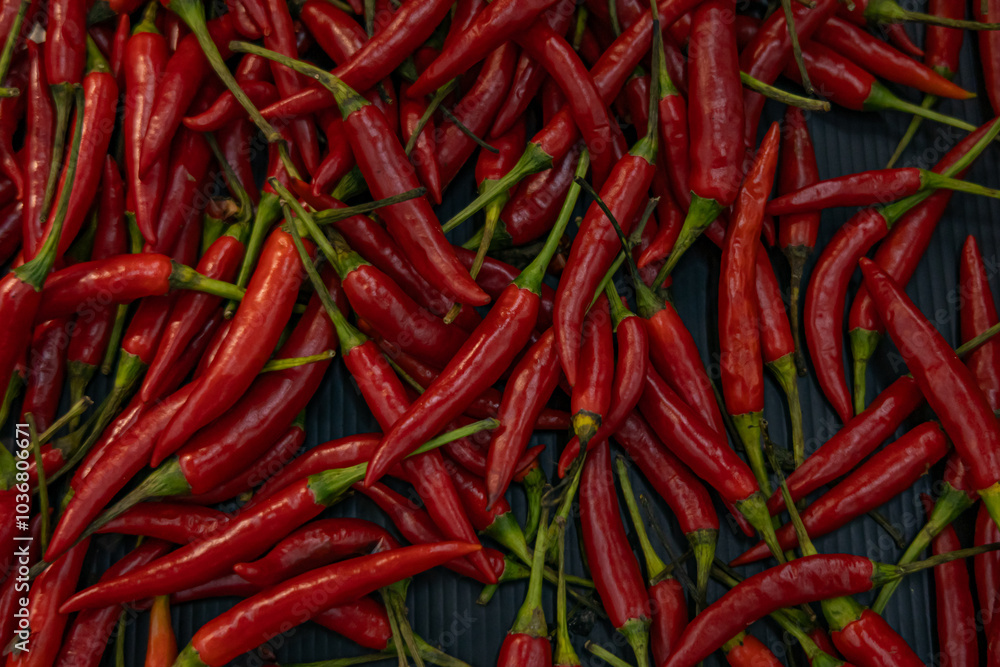 Top view of scattered red hot chili peppers, background. Top view of scattered red hot chili peppers, background.