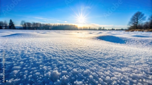 pristine white snow covering the landscape