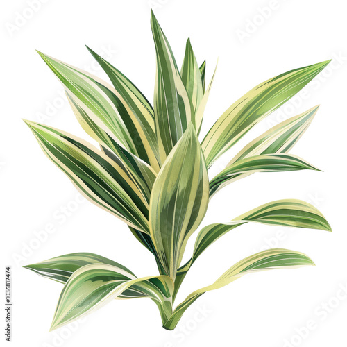 Lush Green Indoor Plant with Variegated Leaves and Vibrant Colors