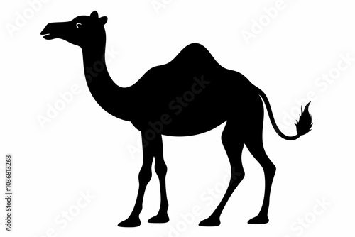 Camel silhouette on vector illustration